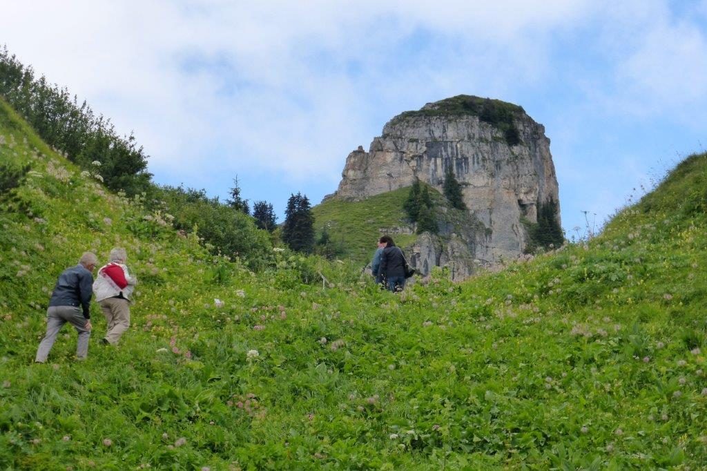 Bergwärts